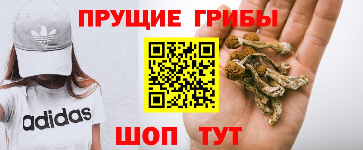 Галлюциногенные грибы Cubensis Кимры